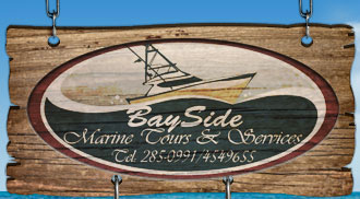 Bayside Marine Tours Logo